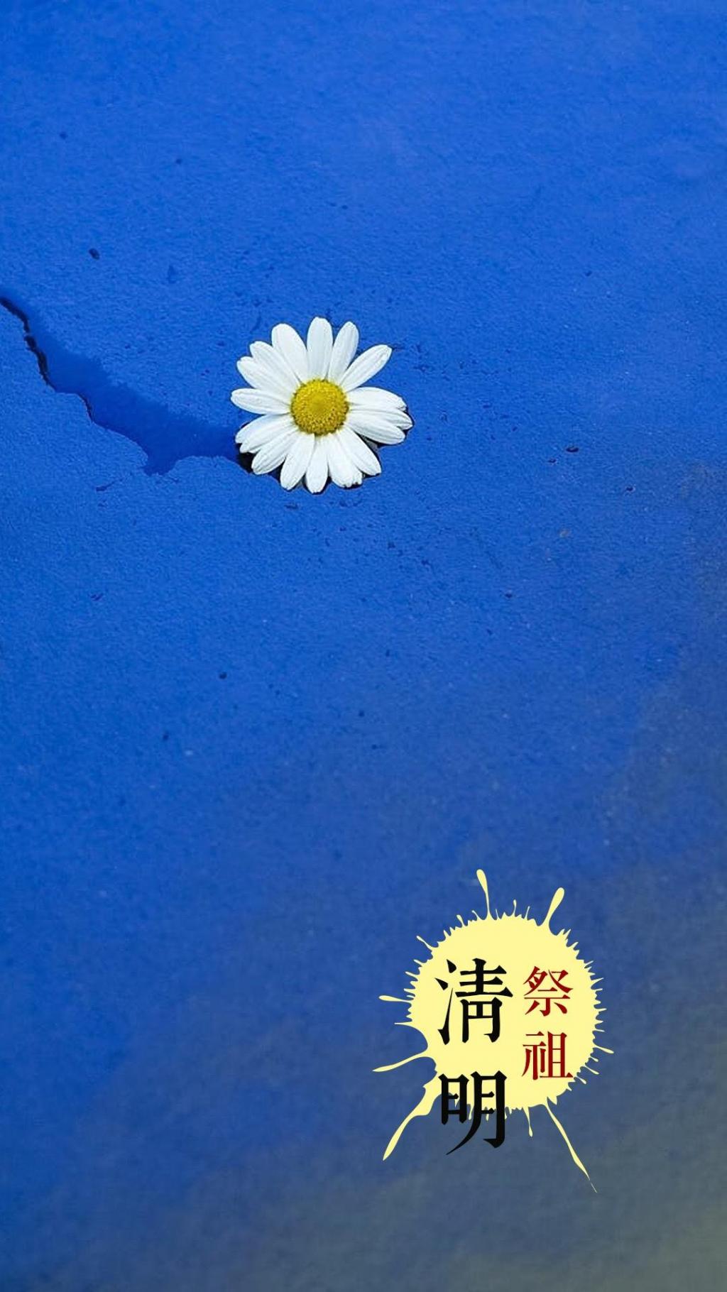 迎接清明时节到来