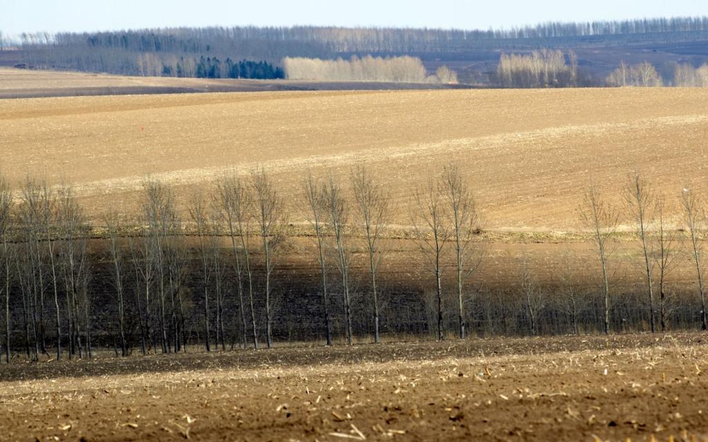 阿城区田野风光