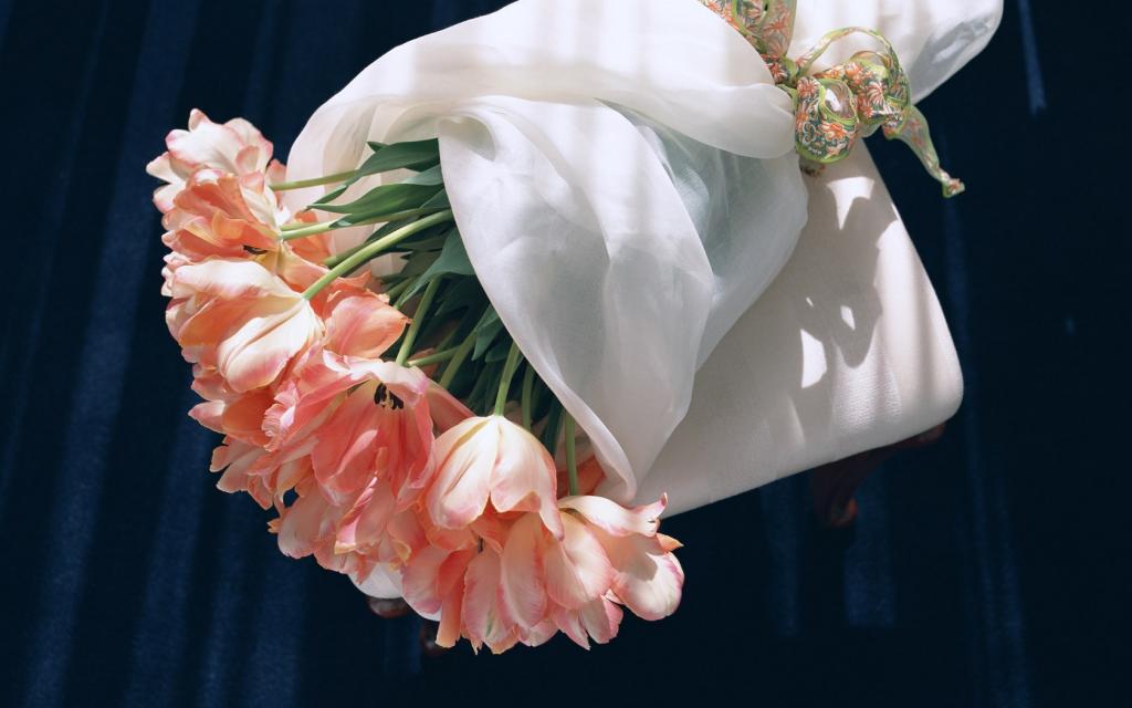 室内白色玫瑰花