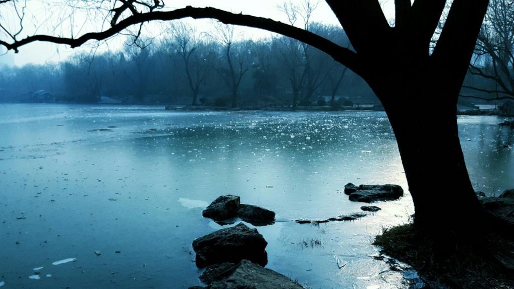 冬季紫竹院唯美风景