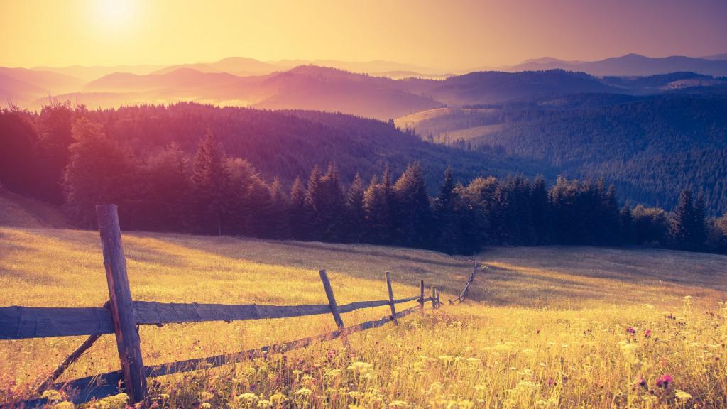 优美夕阳田野风光