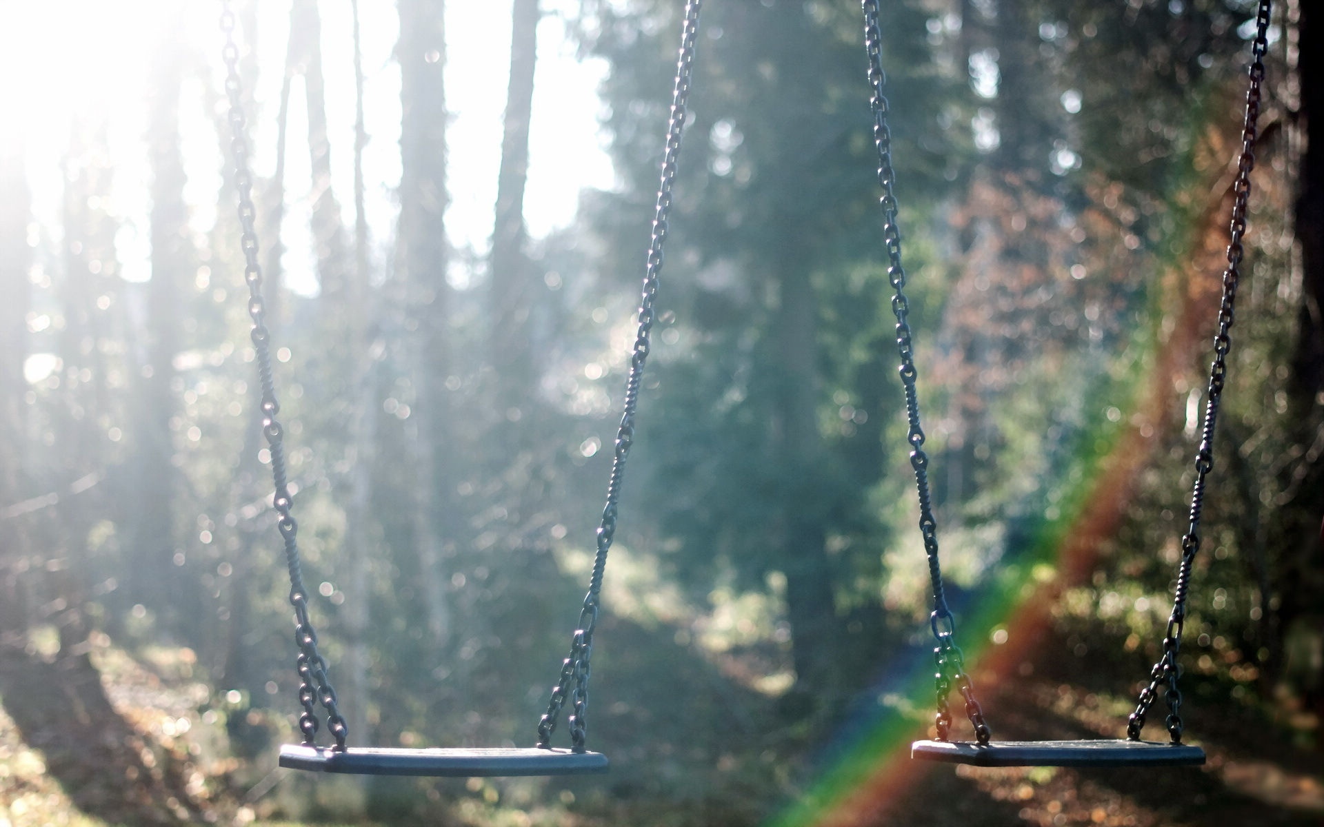 唯美树木里的秋千