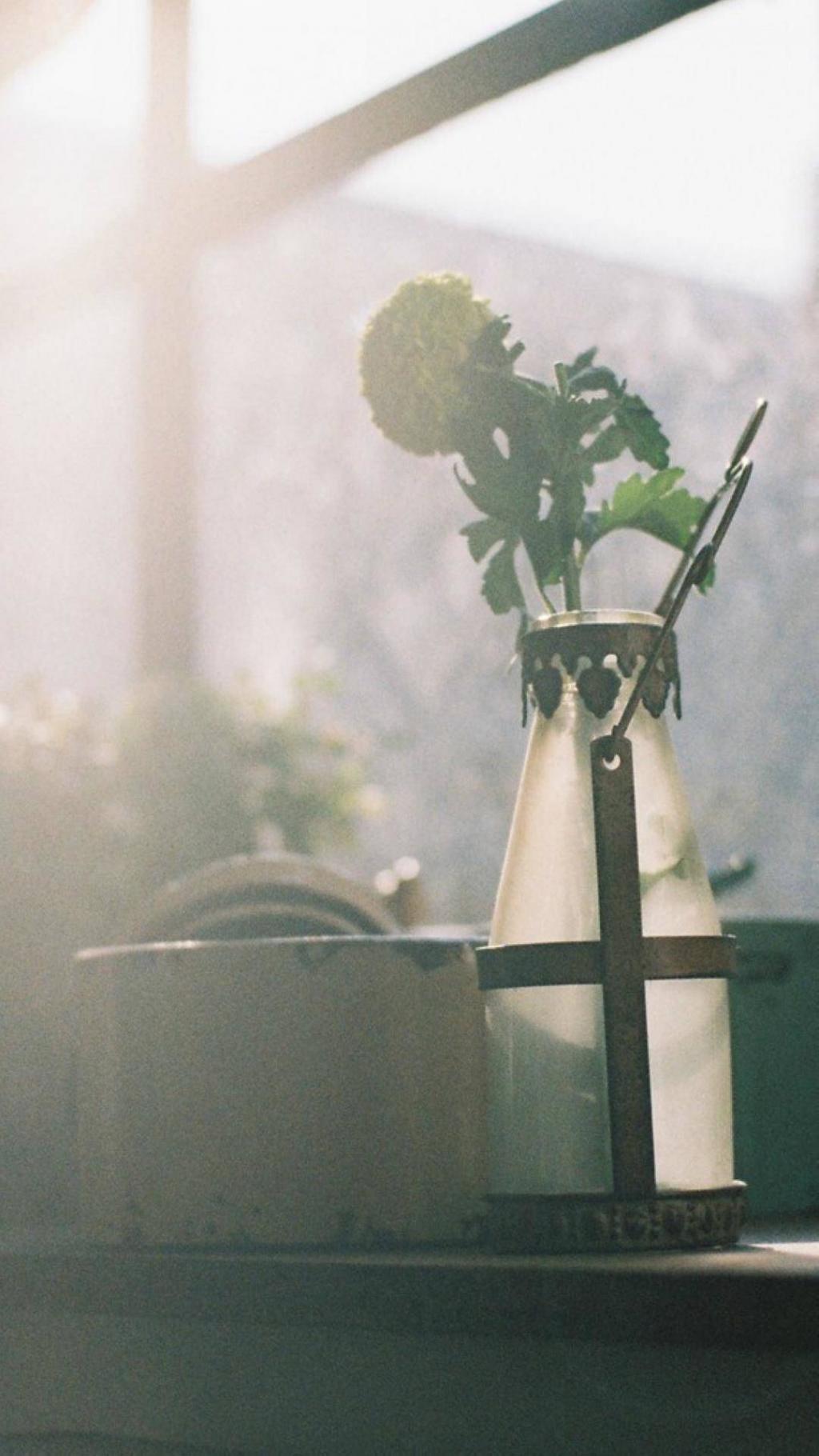 复古小清新静物花卉静物