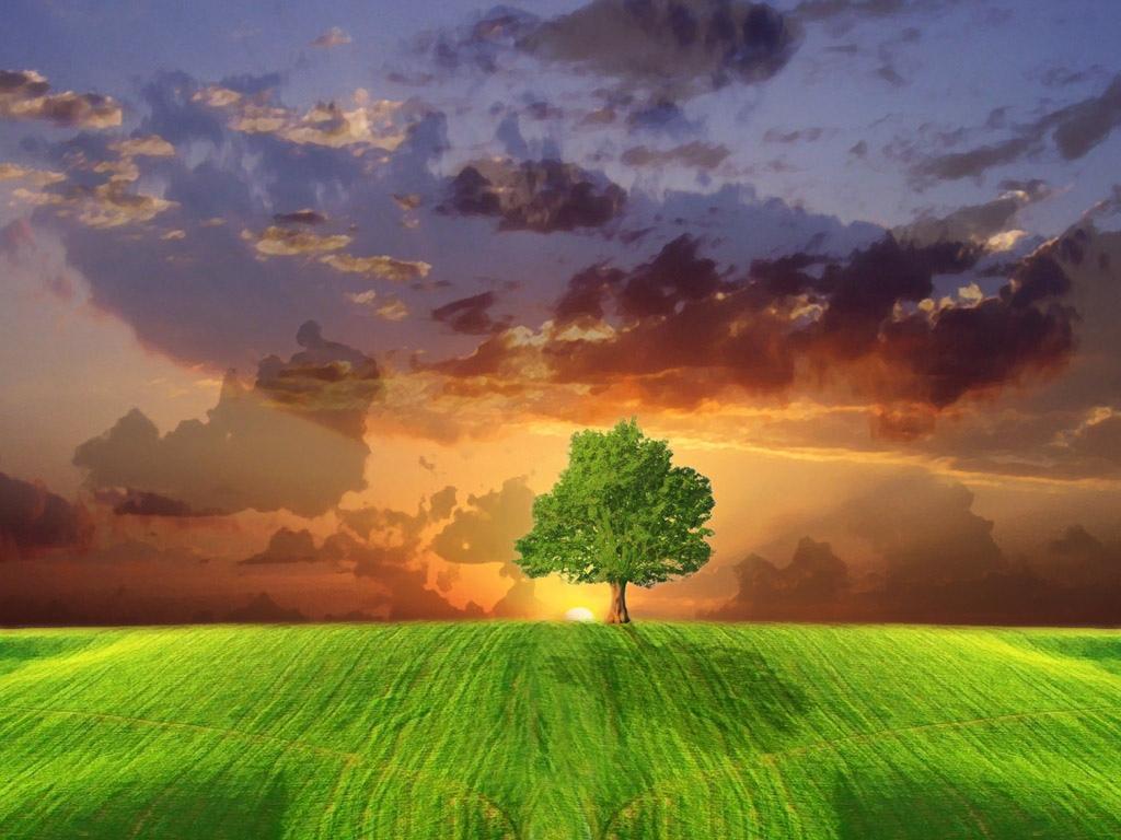 田园里乌云密布