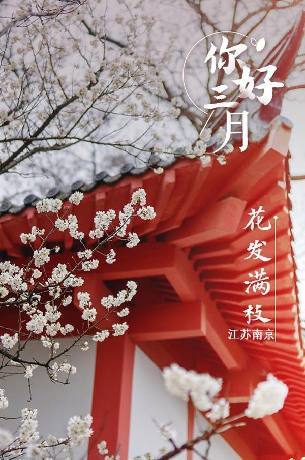 三月第一天,我们一起等春暖花开