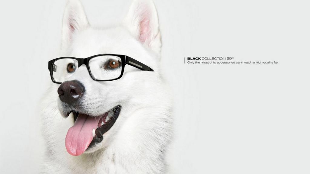 非主流创意设计