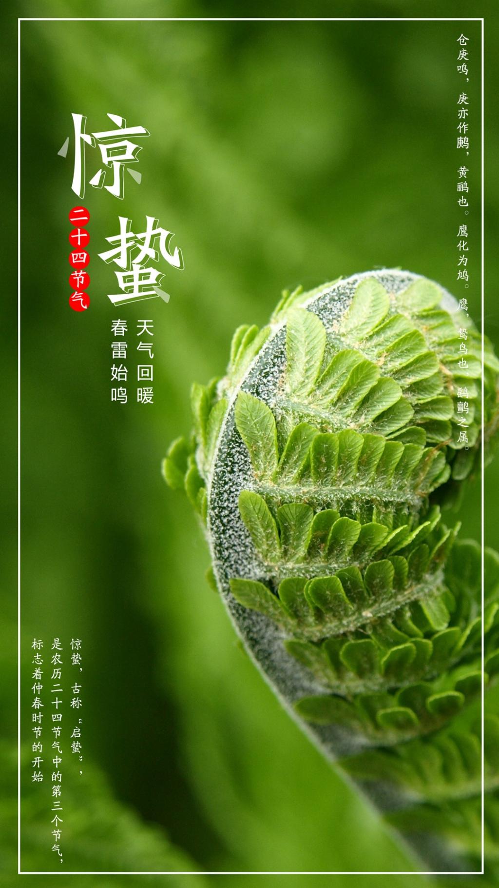 简约二十四节气惊蛰