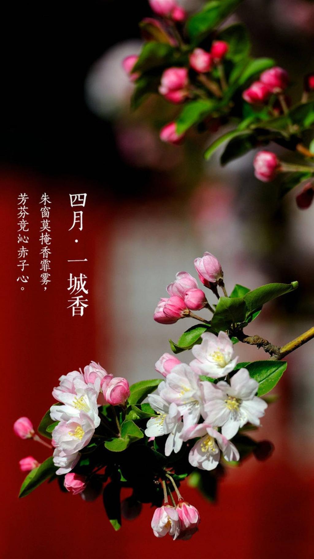 四月一城香