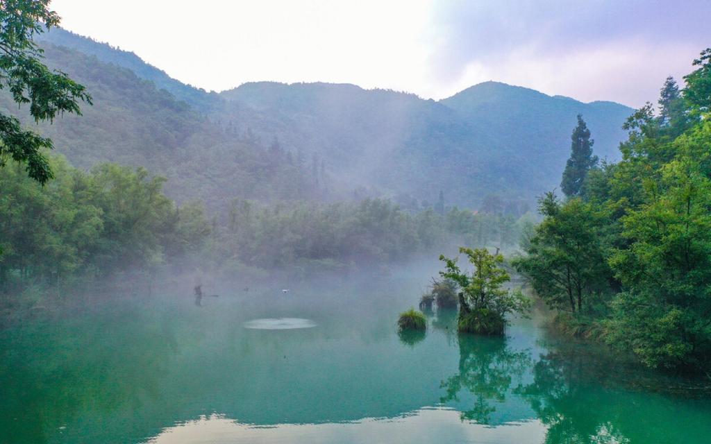 大自然清新迷人风景摄影