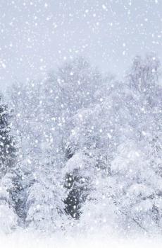 壮丽的风景最新手机动态壁纸-2