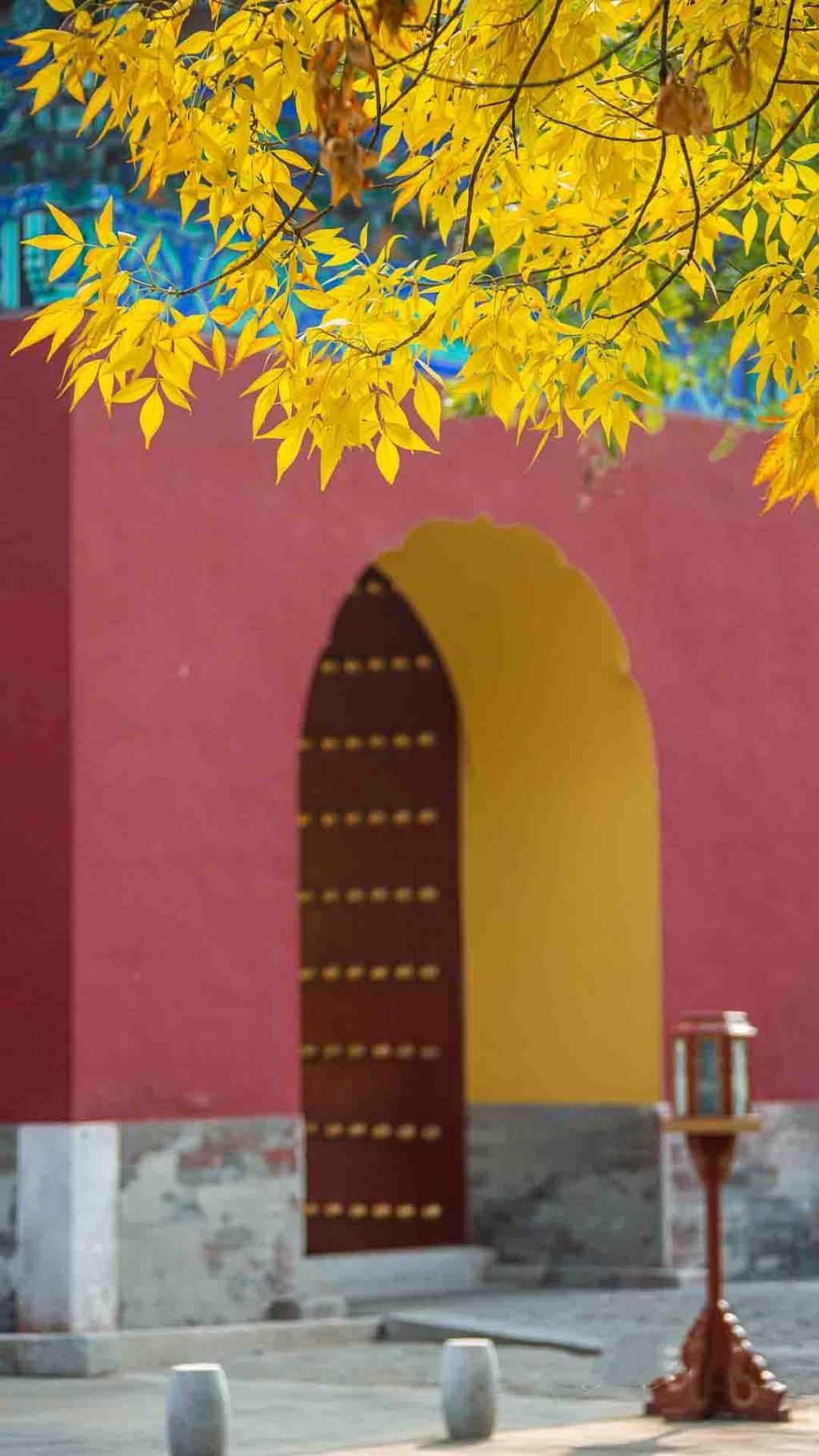 北京城唯美初秋自然风光