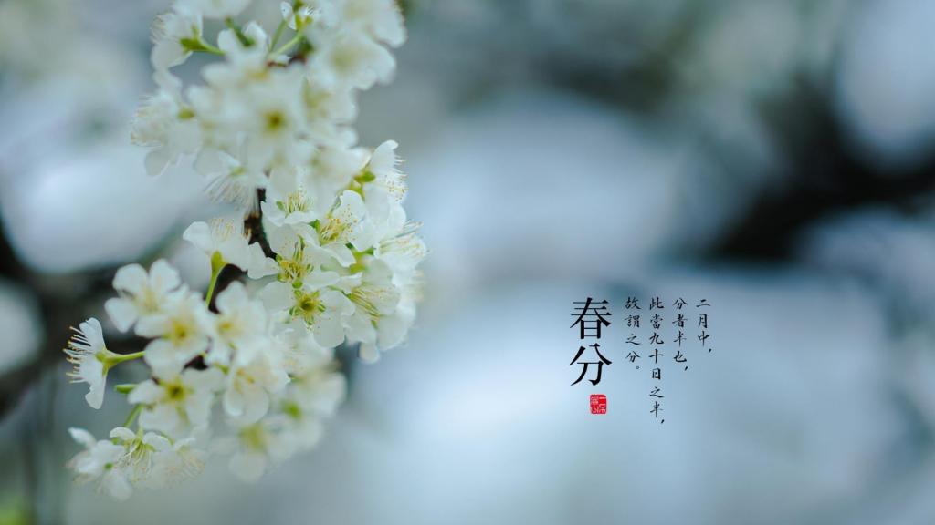 美丽的春分时节到来