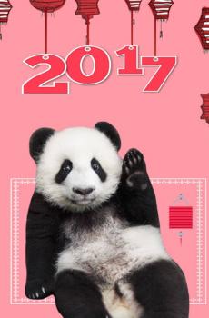 2017年味大熊猫拜年-4
