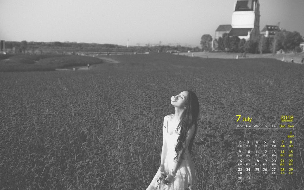 2018年7月优雅知性美女花海写真日历