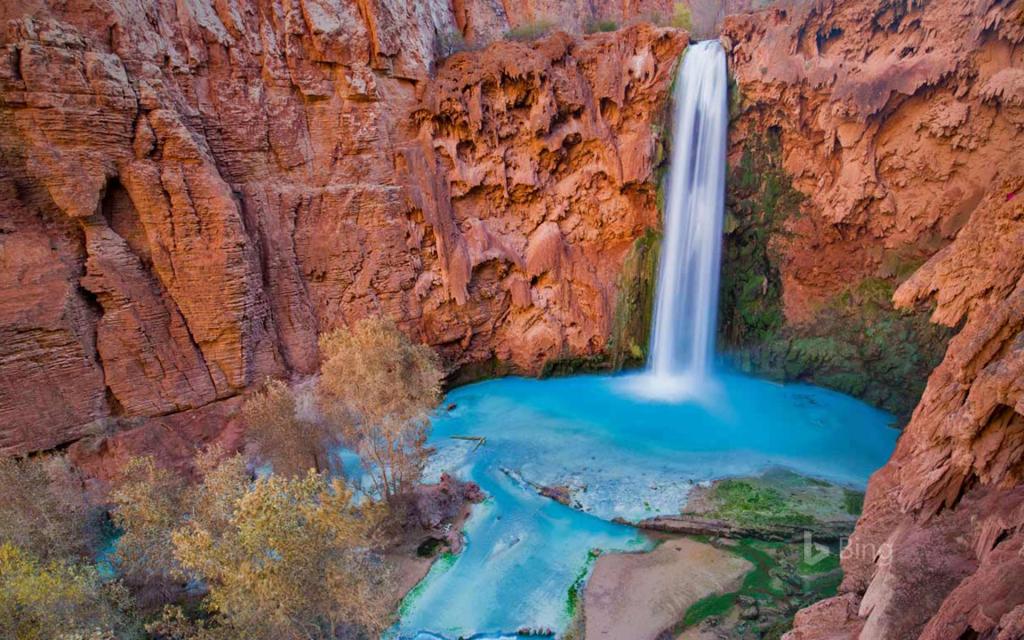 2017年Bing官方主题