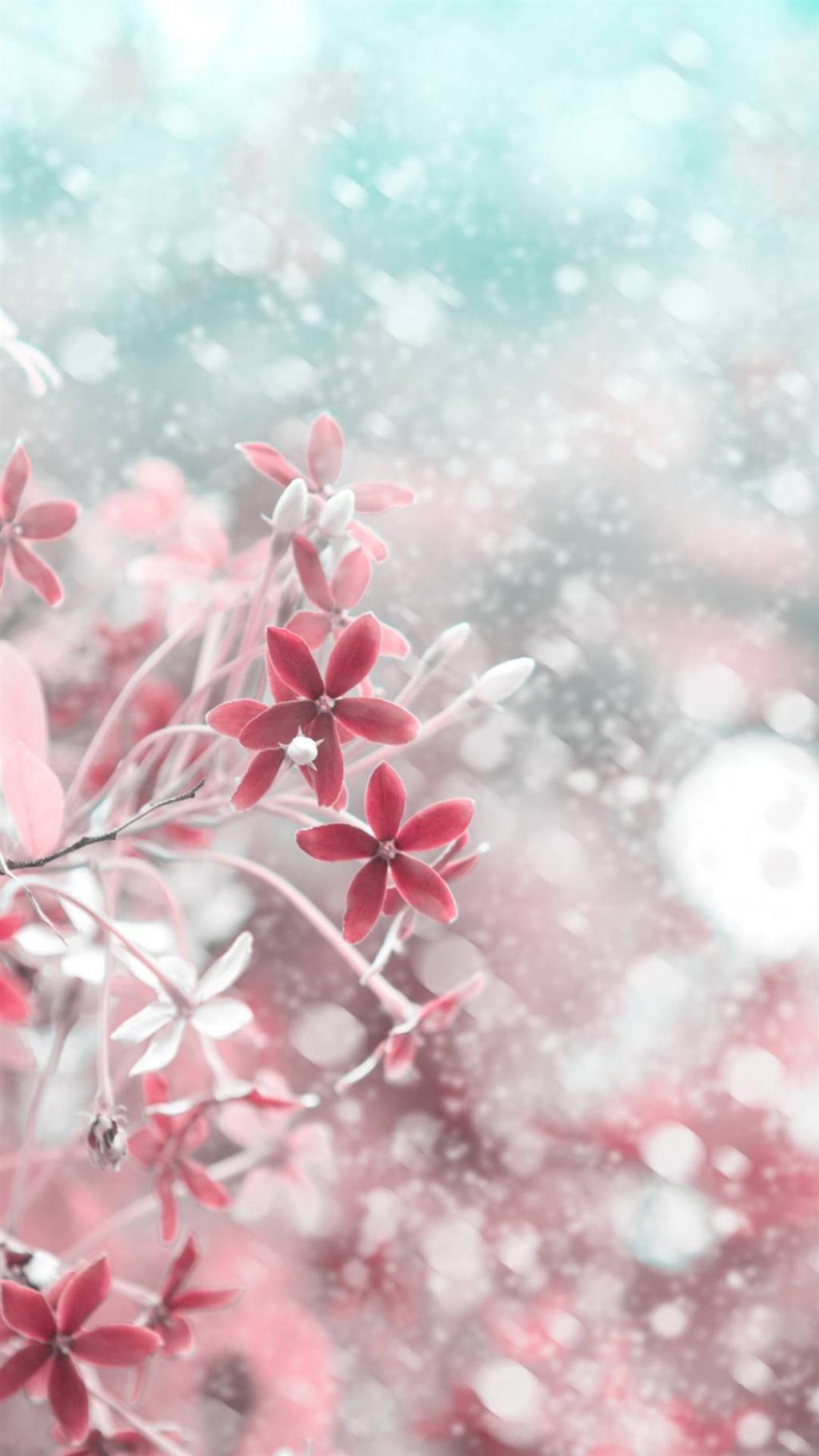 清新花朵护眼锁屏