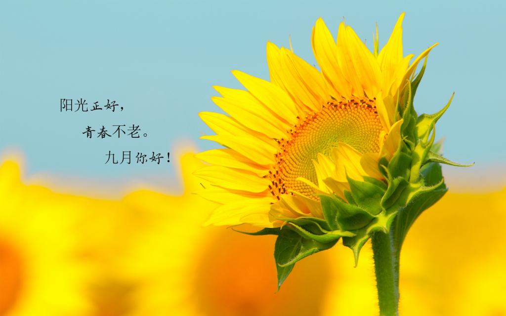 九月即将来临说说