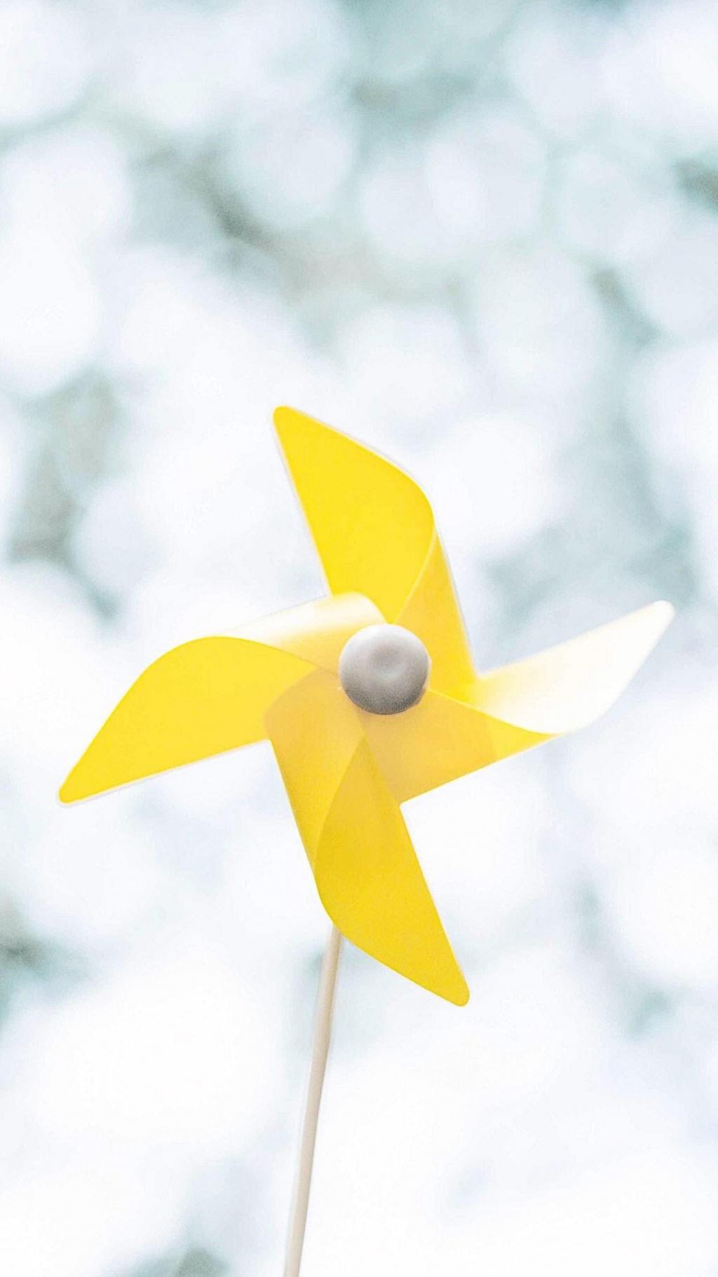 小清新静物摄影