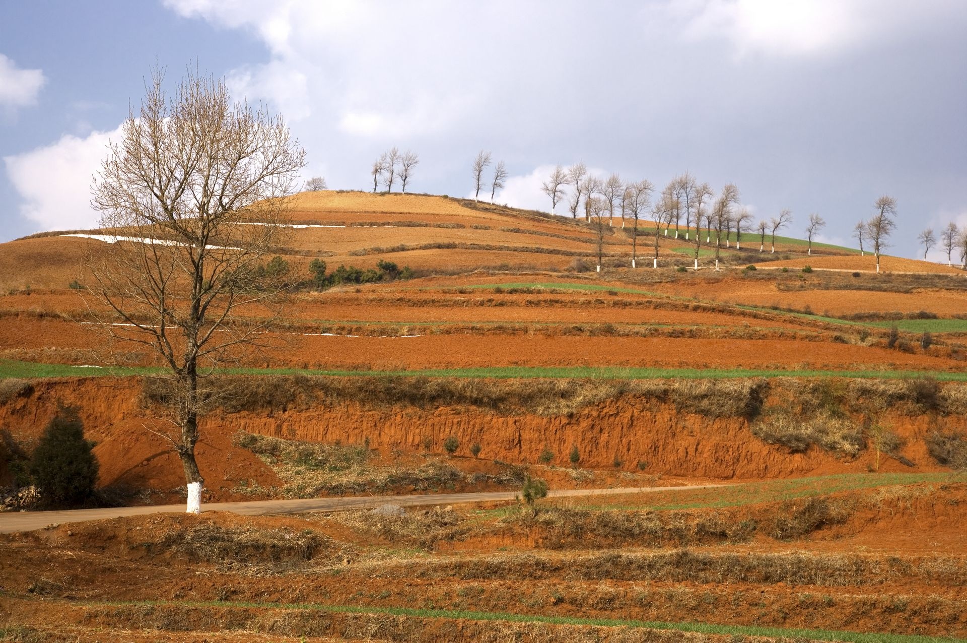 云南大山深处的红土地耕地