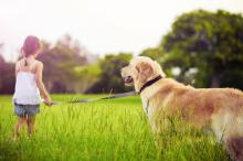人与动物友好图片