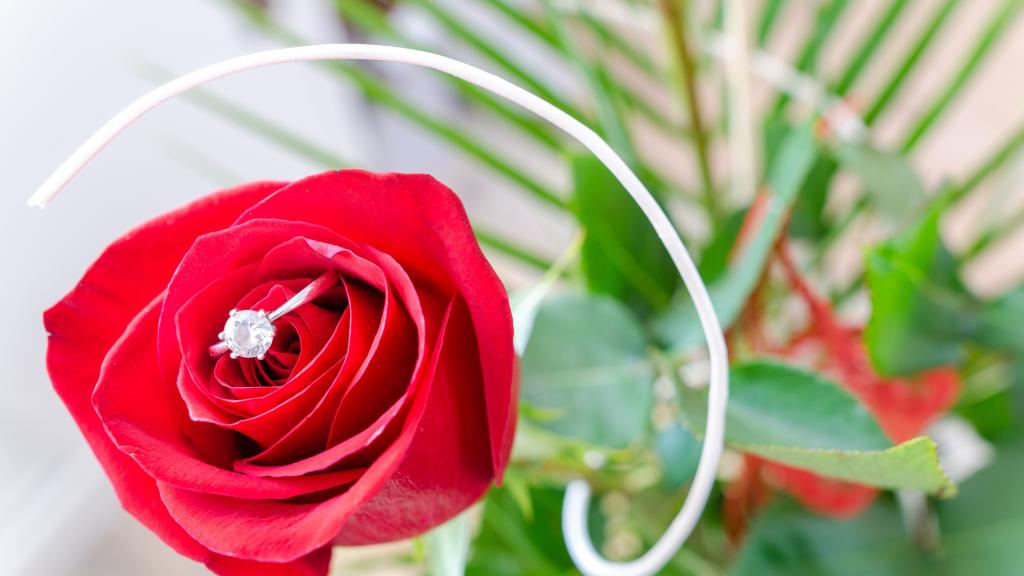 钻石代表着永恒的爱情