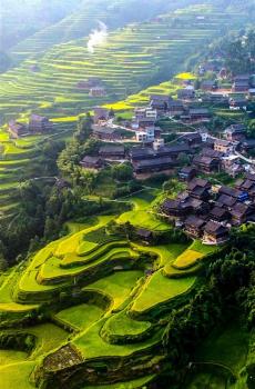 青翠梯田-7