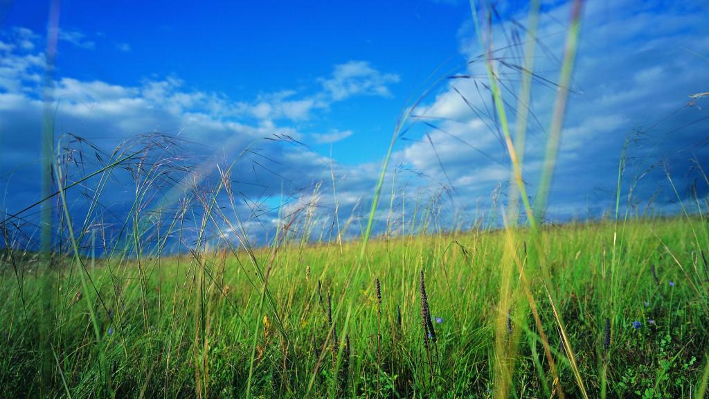 清新大自然写真