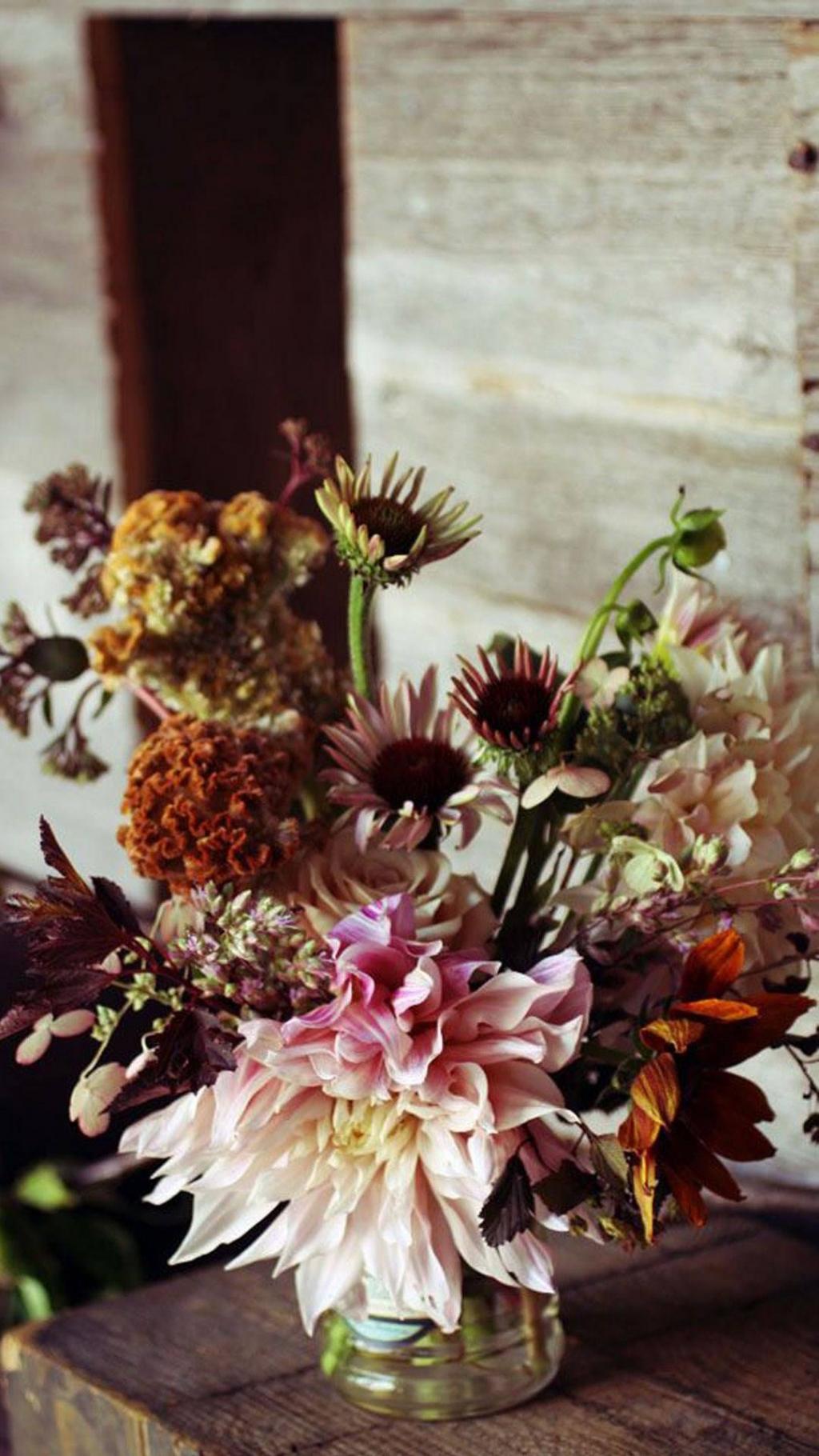 小清新花卉静物