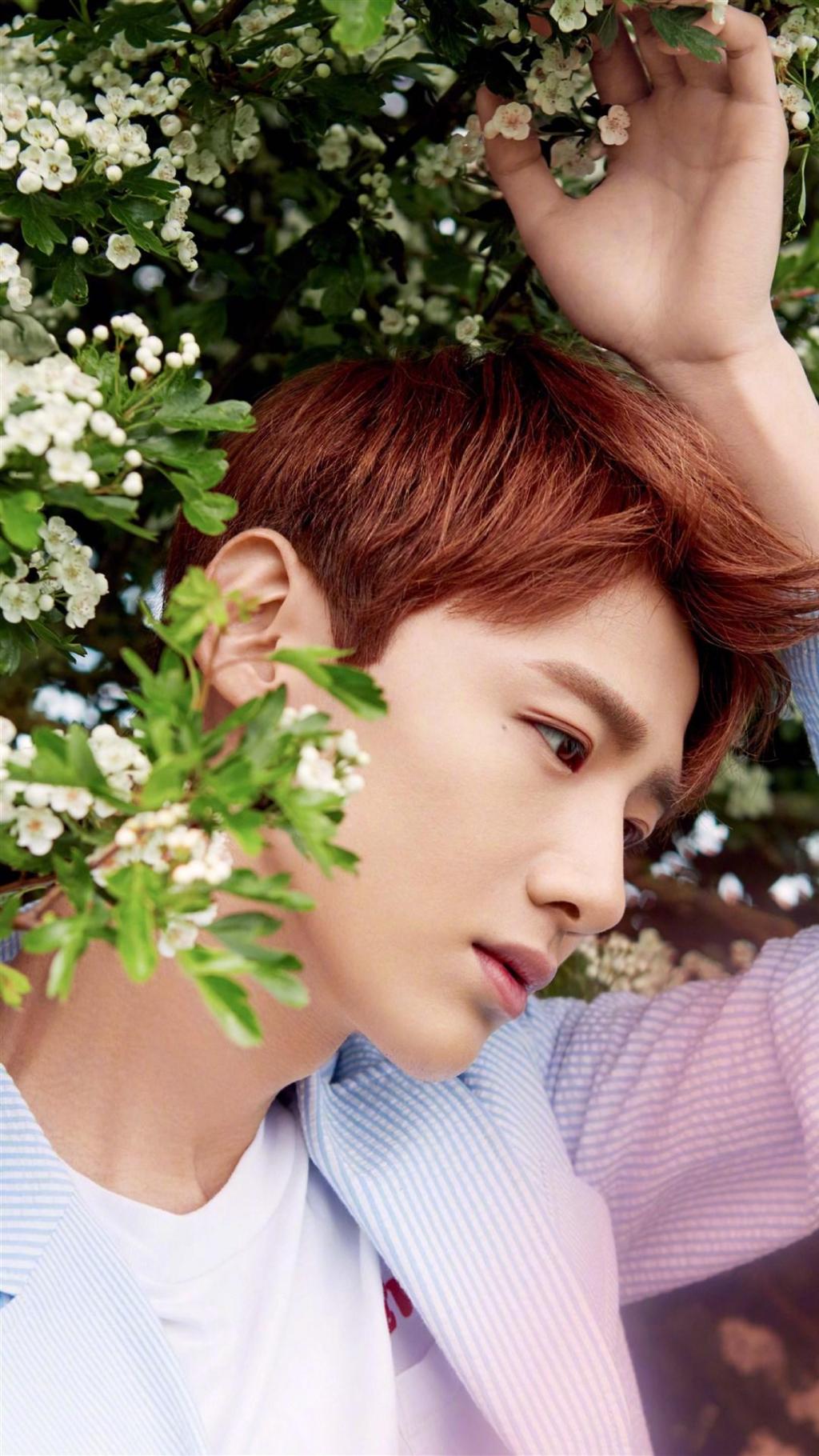 白敬亭清新帅气写真