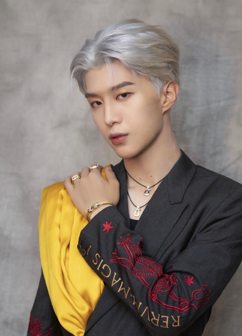 爱豆们的时尚银发造型