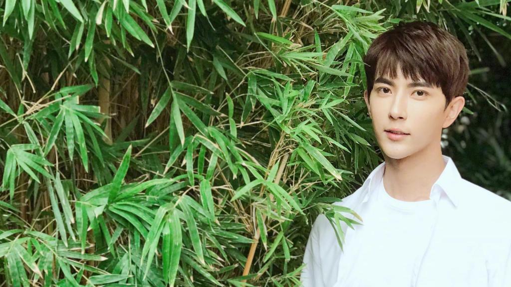 帅哥小鲜肉于朦胧