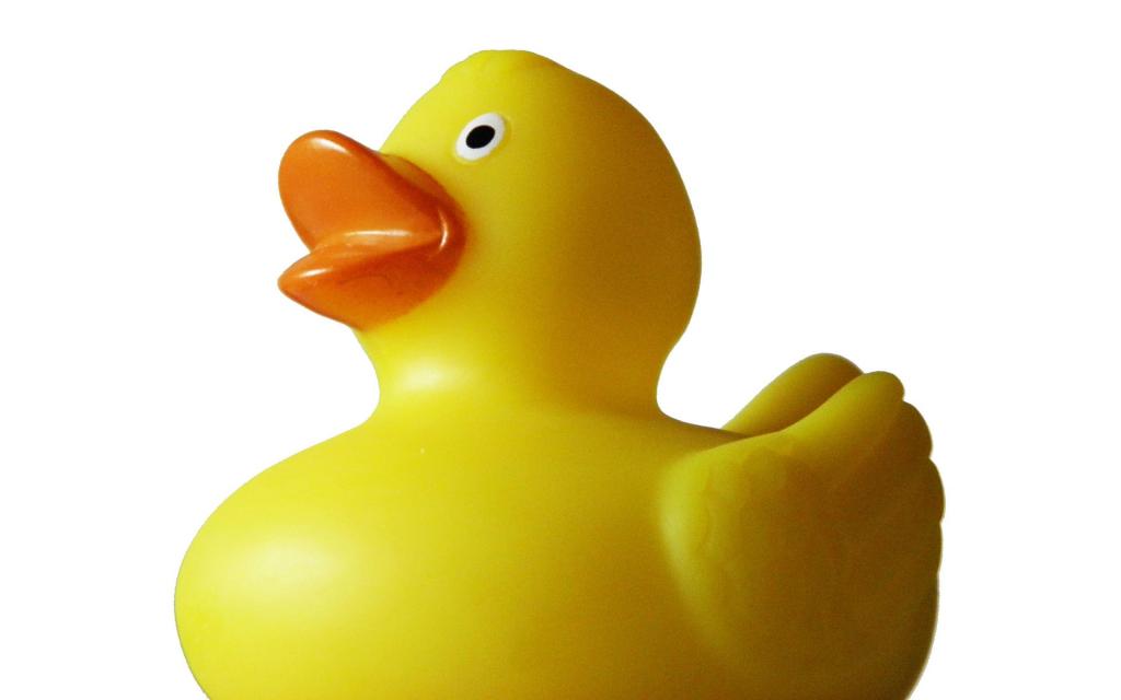 小黄鸭可爱创意玩具写真