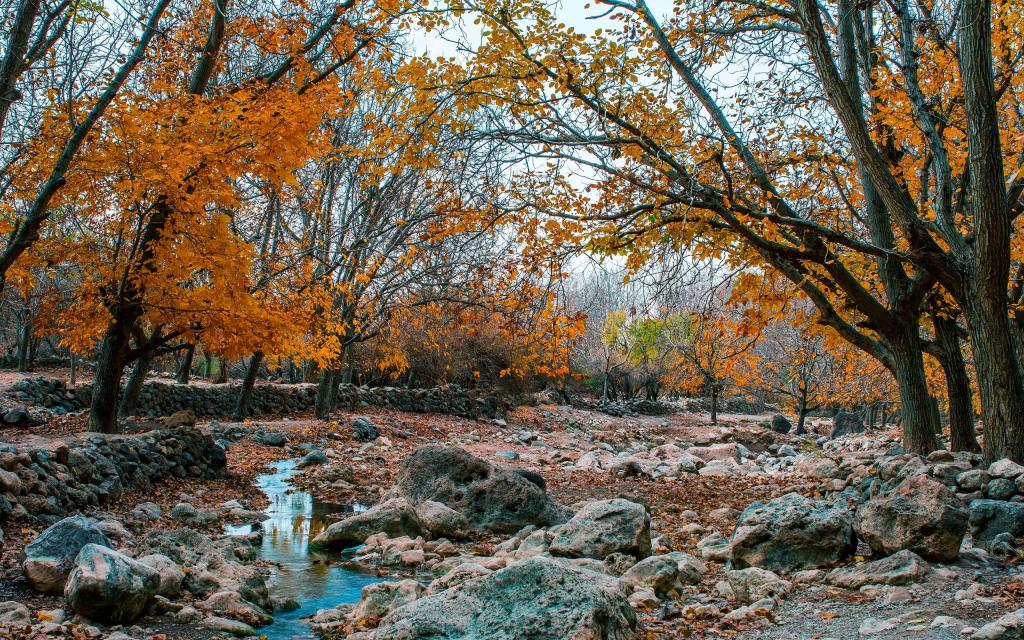 一起来欣赏秋天的美景