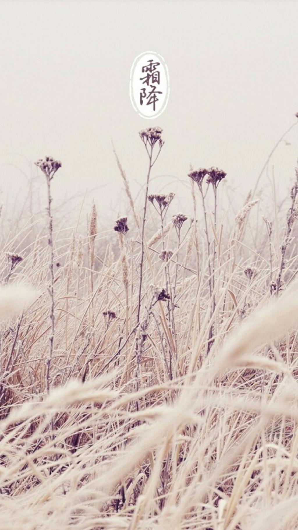 中国传统节气之霜降