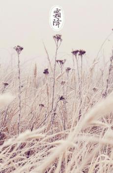 中国传统节气之霜降-3