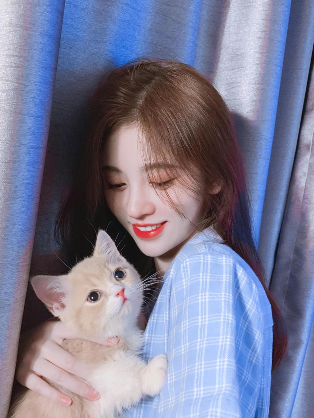 鞠婧祎甜美可爱撸猫照
