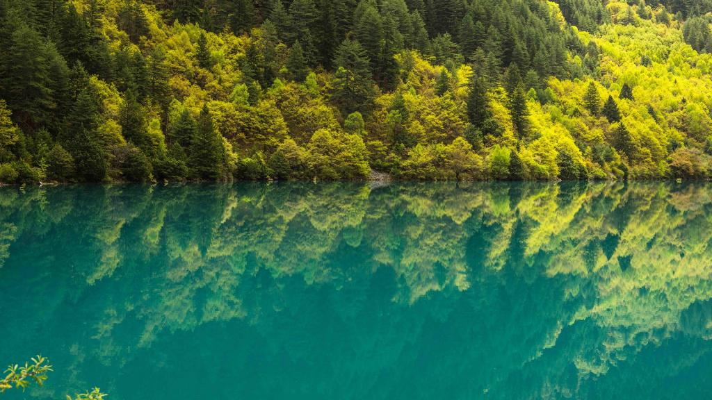 九寨沟优美自然风景