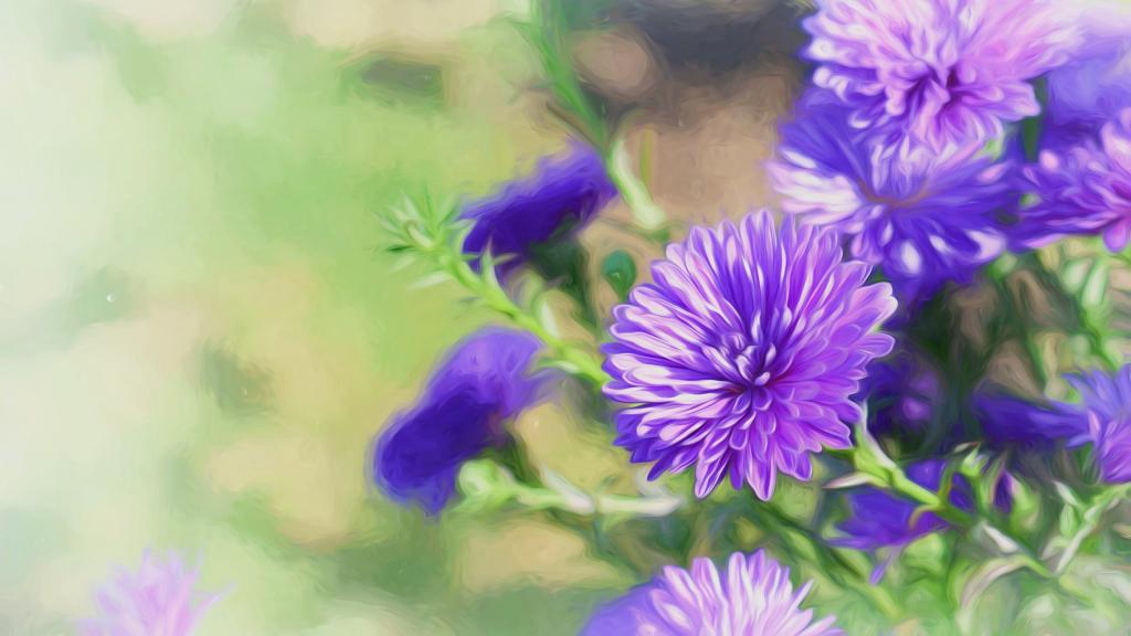 娇艳的紫色花朵