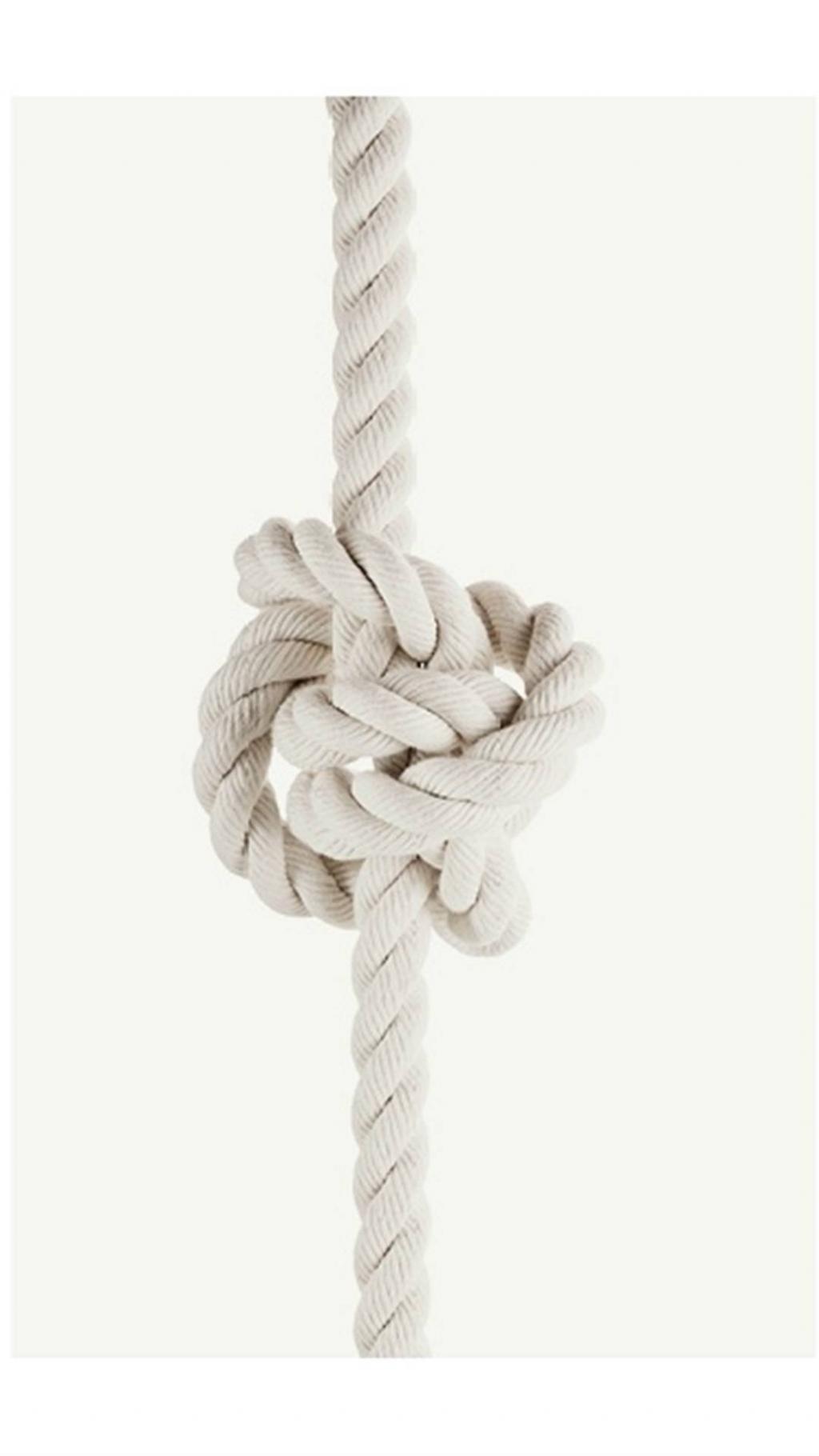 早安简约静物摄影