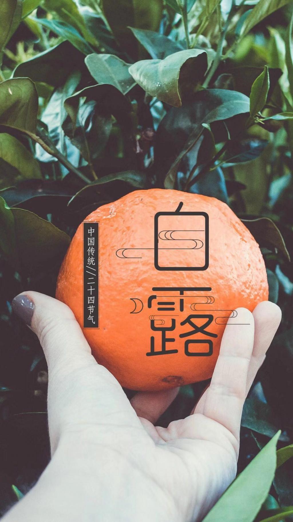 白露时节即将来临