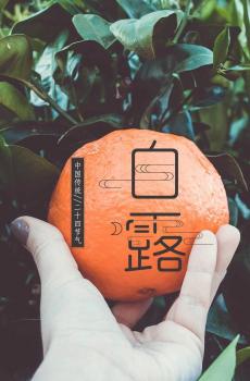 白露时节即将来临-2