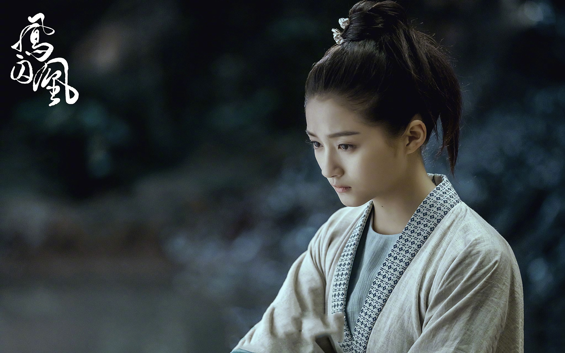 电视剧《凤囚凰》剧照