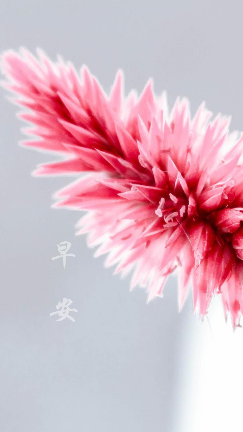 美好的世界早安