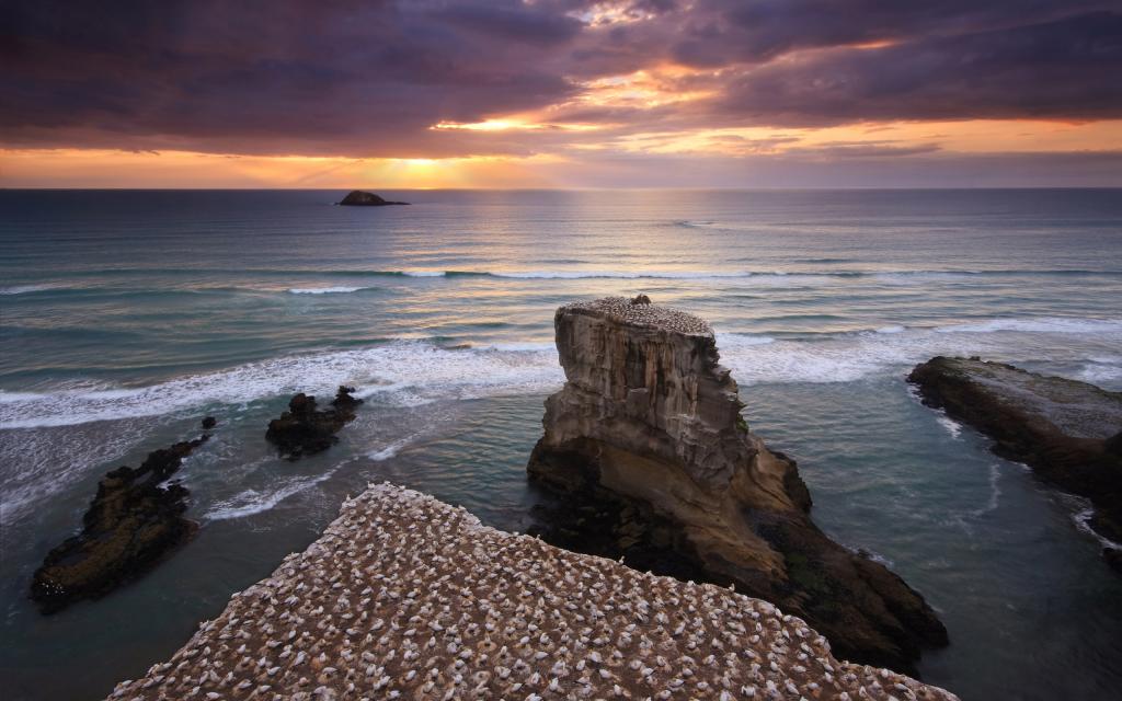 超大海岸