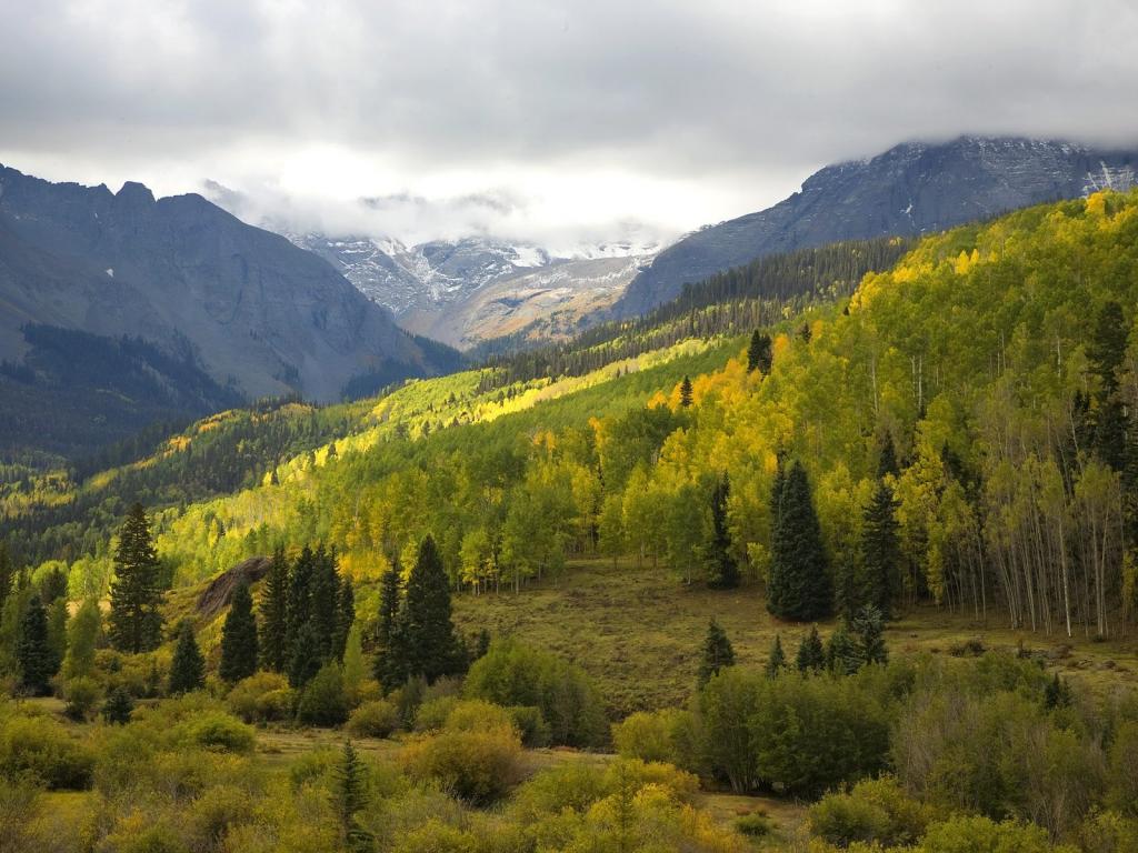 增添一道亮丽的风景