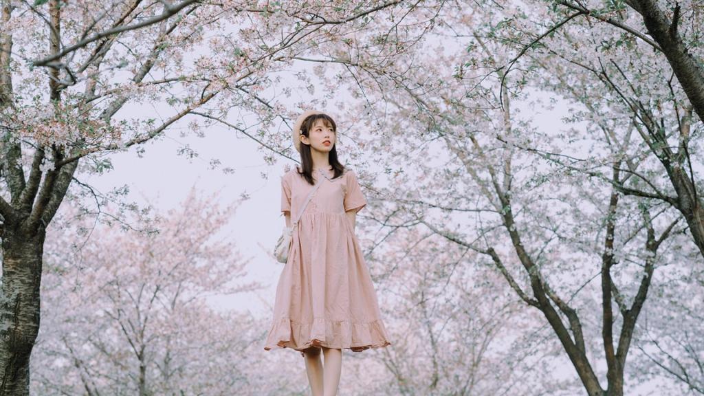 清新俏皮可爱萝莉樱花下的迷人写真