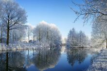 玉树琼枝唯美雪景