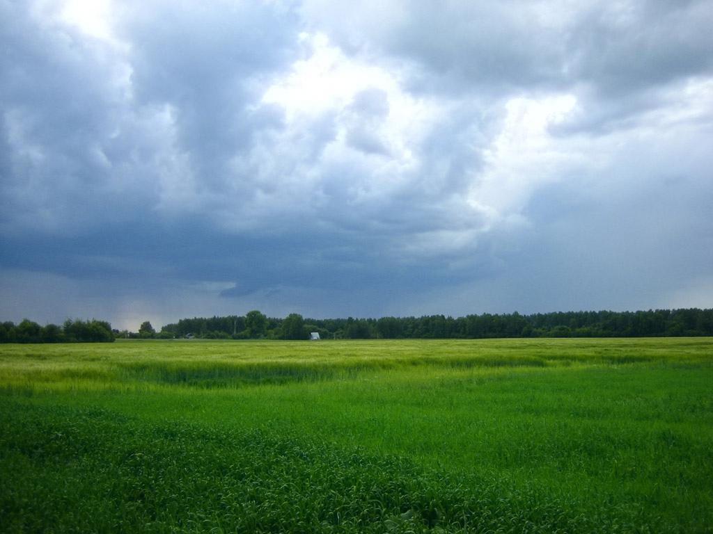 田园里乌云密布