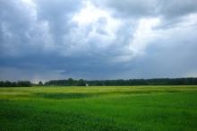 田园里乌云密布