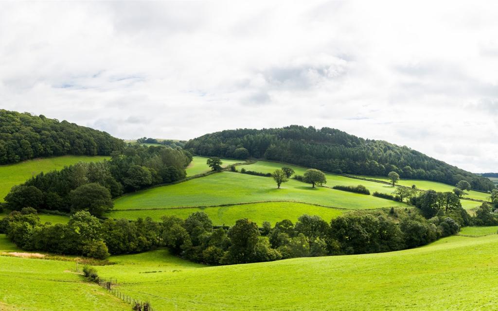绿色震撼自然风景
